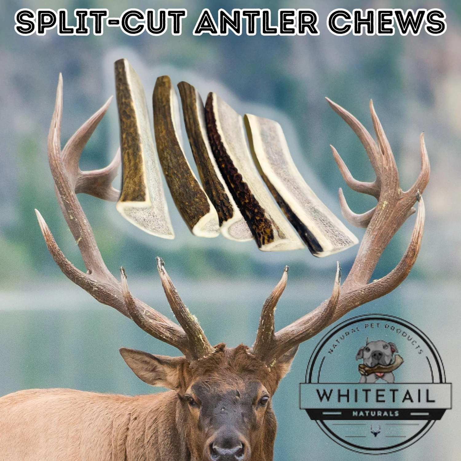 Split-cut Elk/Red Stag Bulk