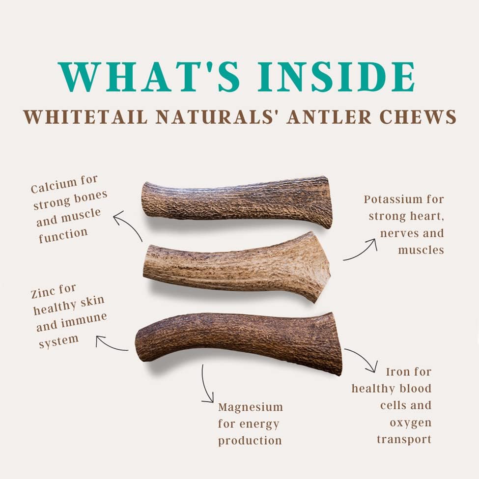 (Unbranded) Medium | Split Elk/Red Deer Antler Dog Chews