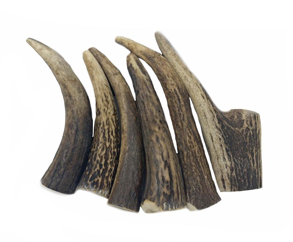 6 Pack | Small to Medium Red Deer Antler Dog Chew - WhiteTail Naturals